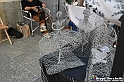 VBS_3174 - Mercatino dell'Antiquariato - Giugno 2026
